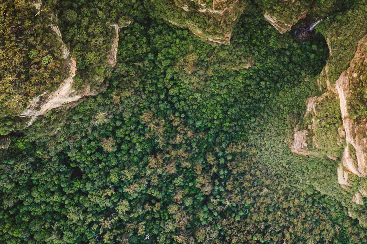 52 ways to live more sustainably this Earth Day and beyond - Notely