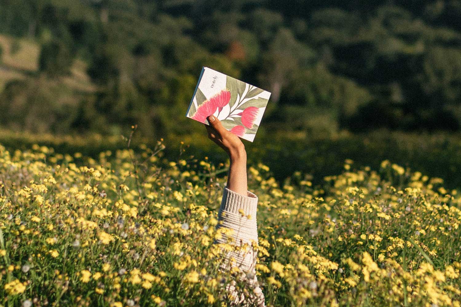 How to journal like a wild thing – and still be kind to the planet - Notely