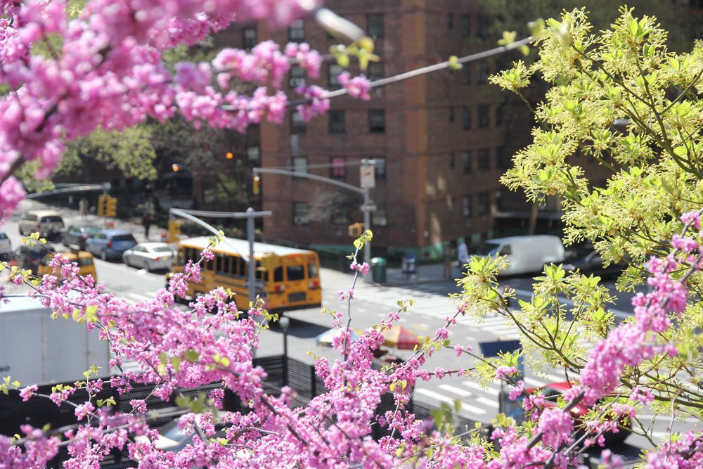 Notely in New York City - Notely