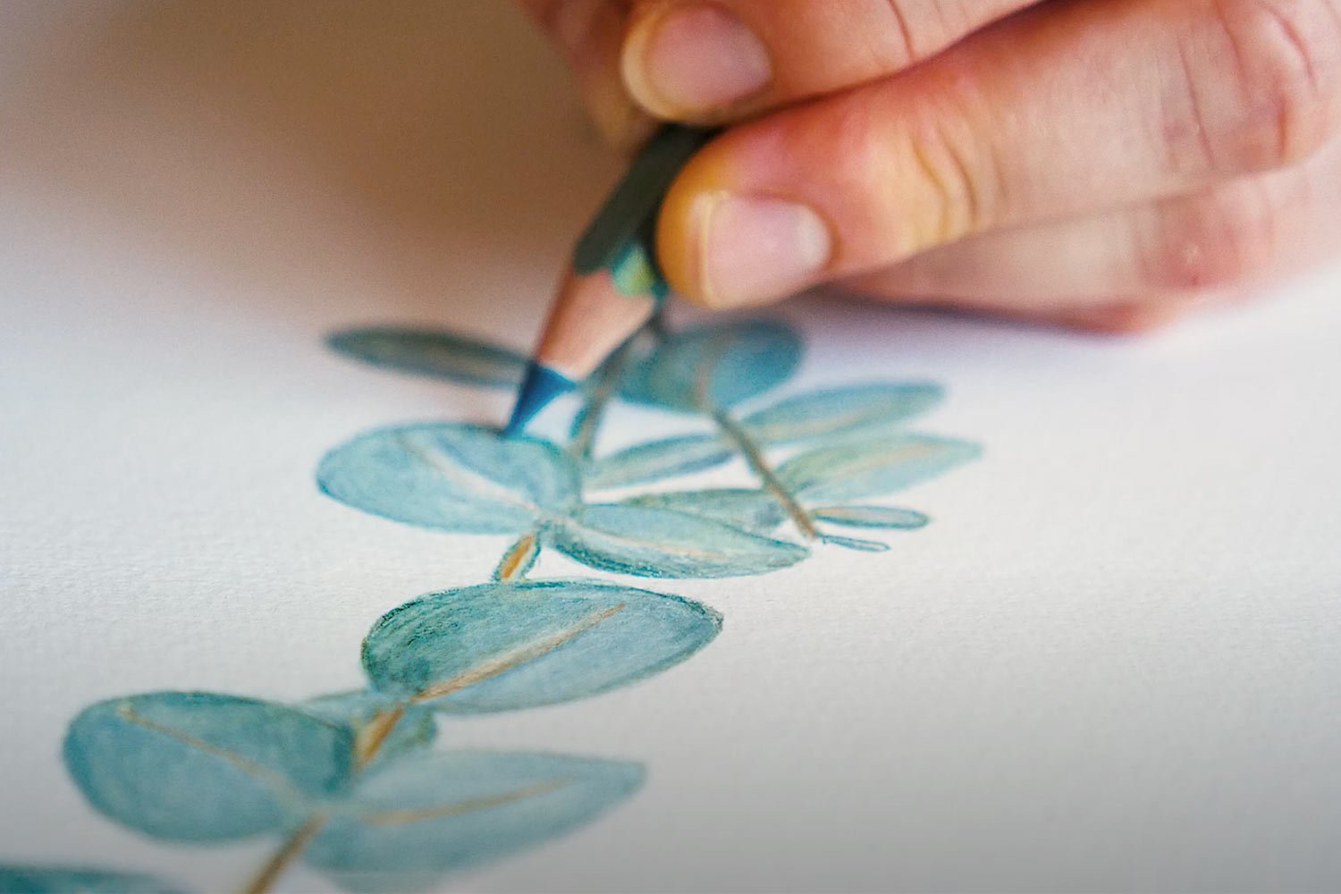 Australian Alternative talk to Jenica in her Brisbane creative studio. - Notely