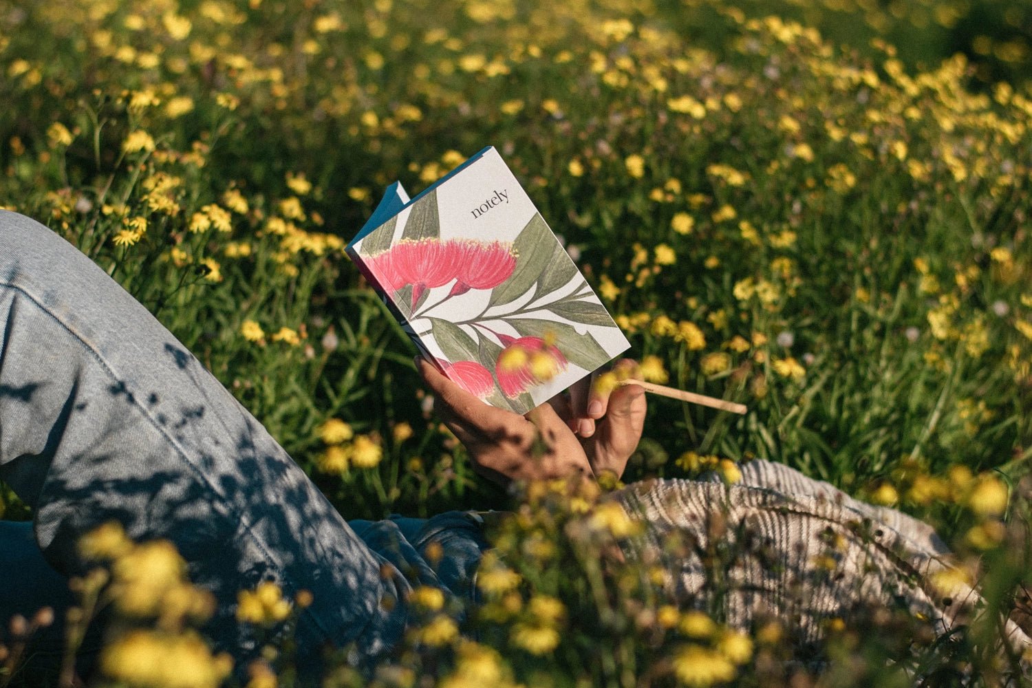 Blooms of Inspiration: Using wildflowers to guide your journaling practice - Notely