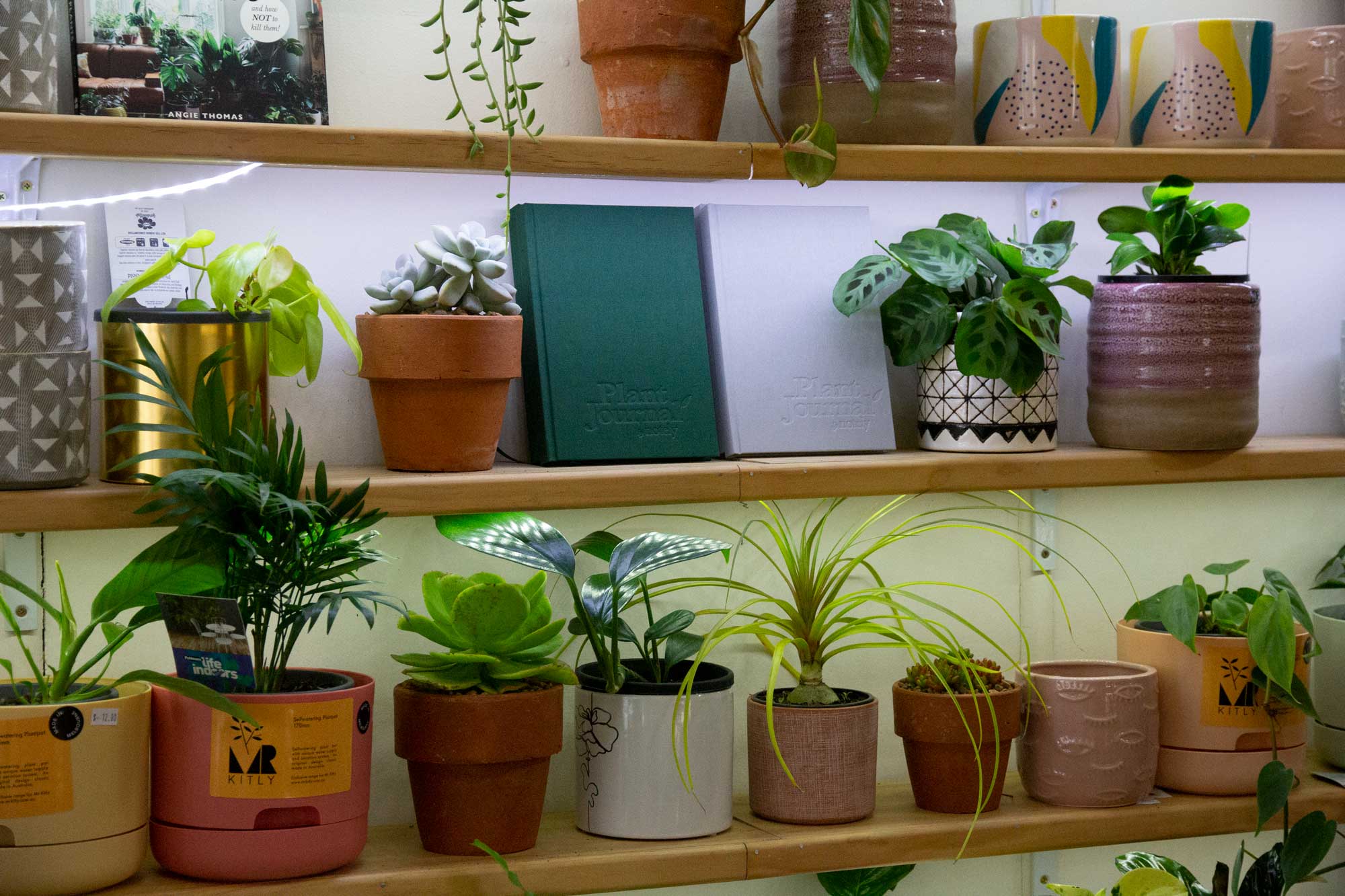 How to Start and Keep a Plant Journal - Notely