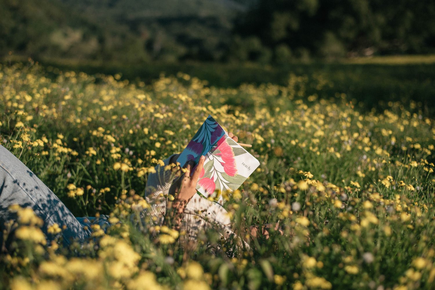 Tame your holiday season by journaling like a wild thing - Notely