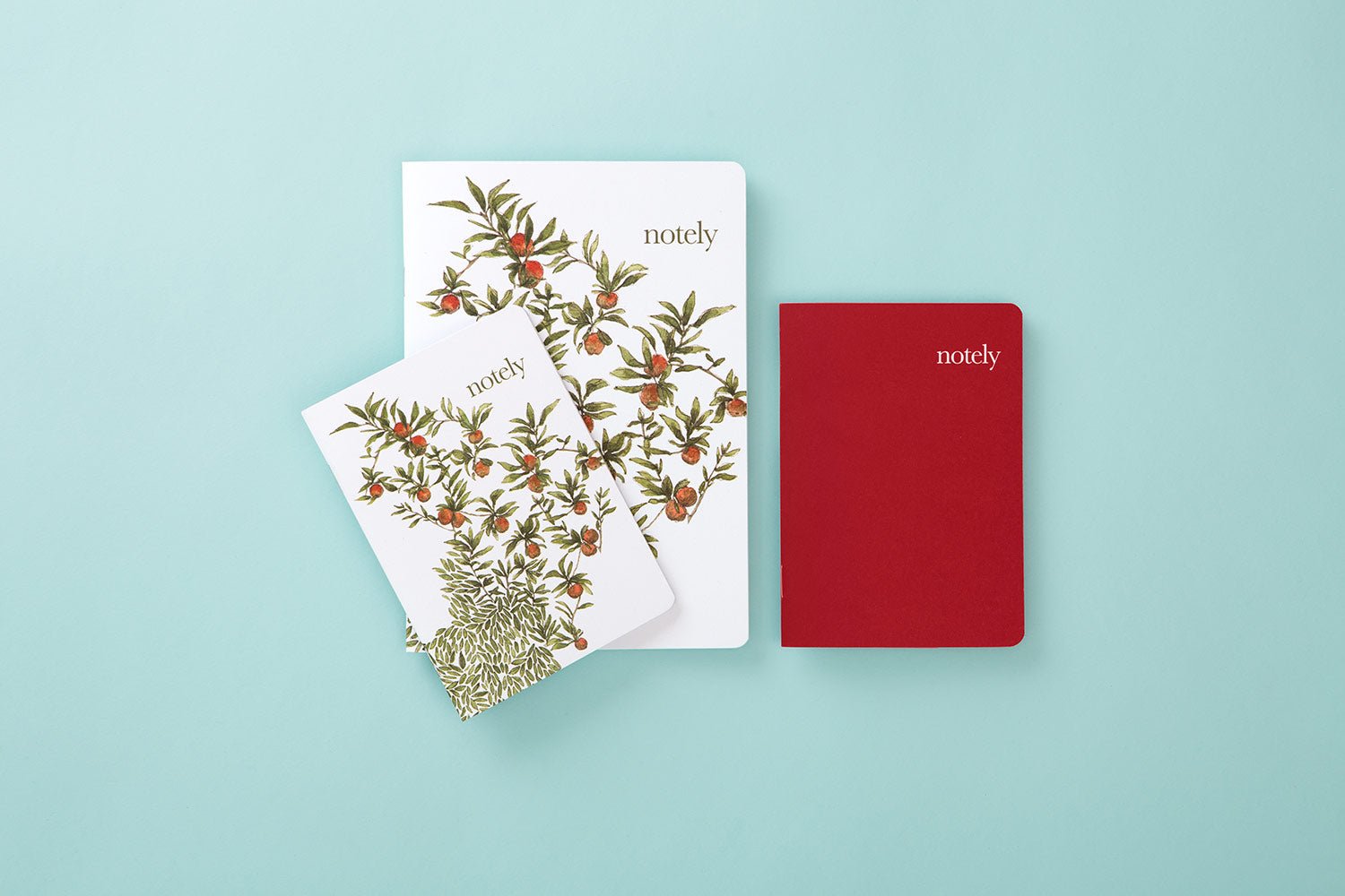 The Finders Keepers interviews Notely - Notely