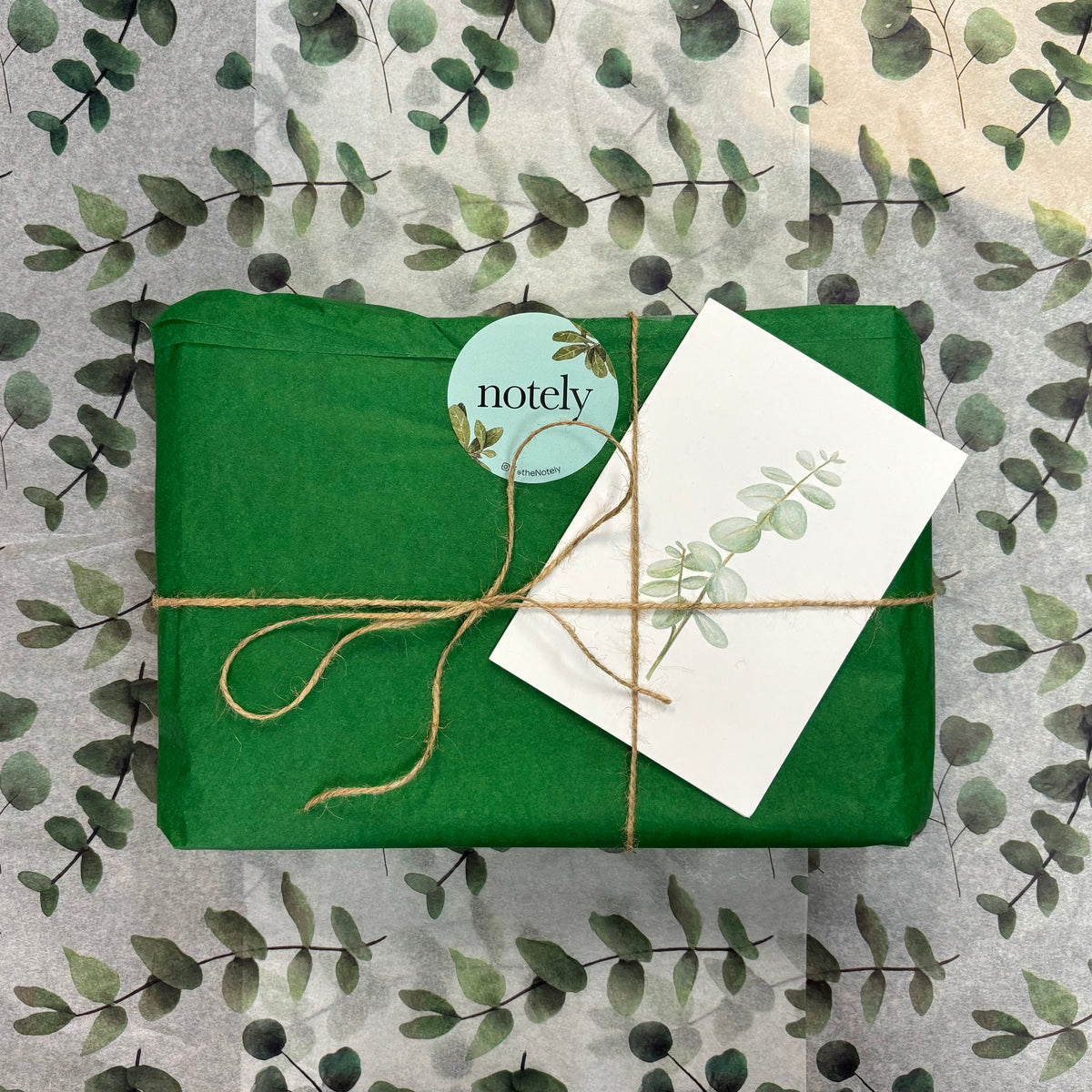 Plant Lover&#39;s Gift Box