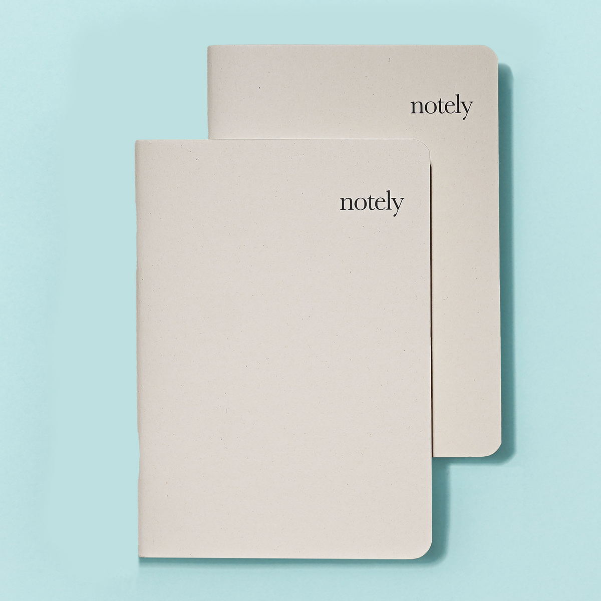 Crush Notes – Citrus  – A5 Notebooks (Set of 2) 64p