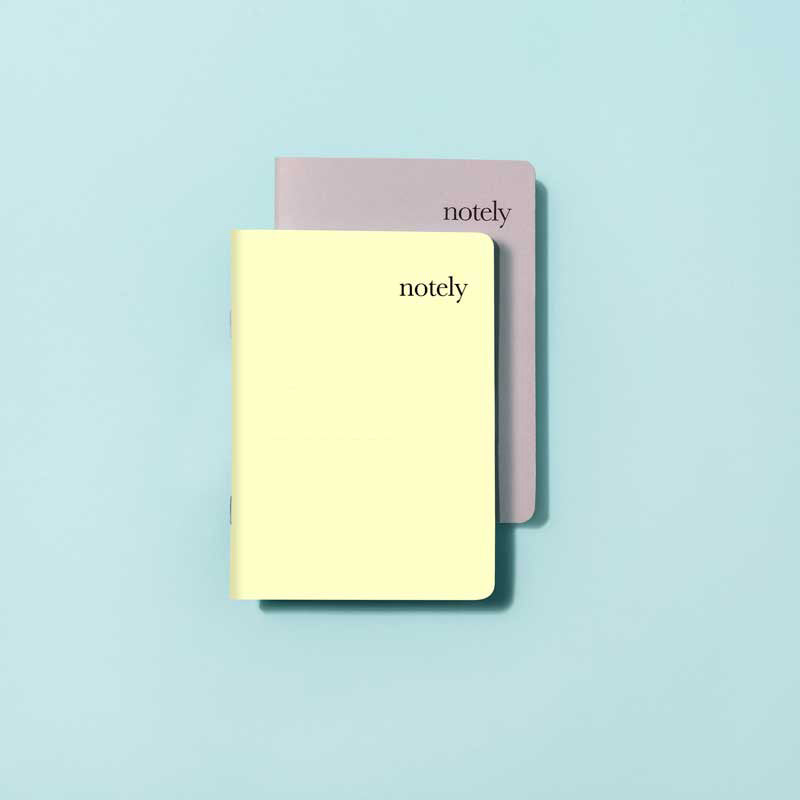 Notely Lemon &amp; Grey Pocket Notebook Set of 2