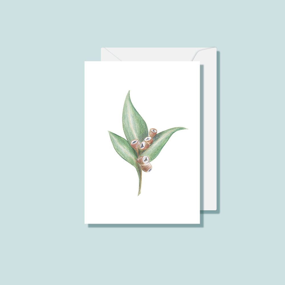 Botanical Card Set (Box of 10) - Notely
