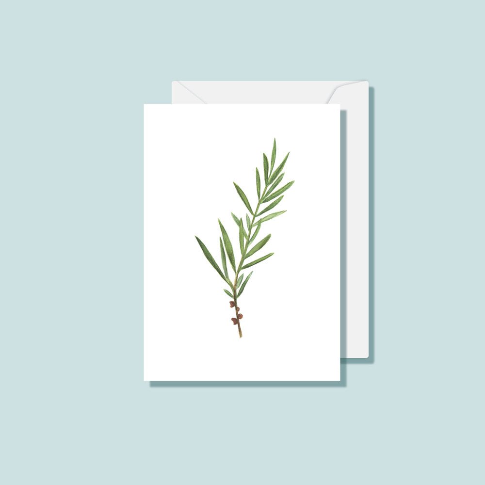 Botanical Card Set (Box of 10) - Notely