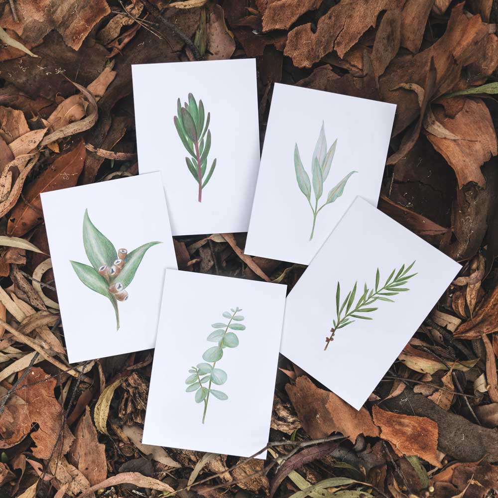 Botanical Card Set (Box of 10) - Notely