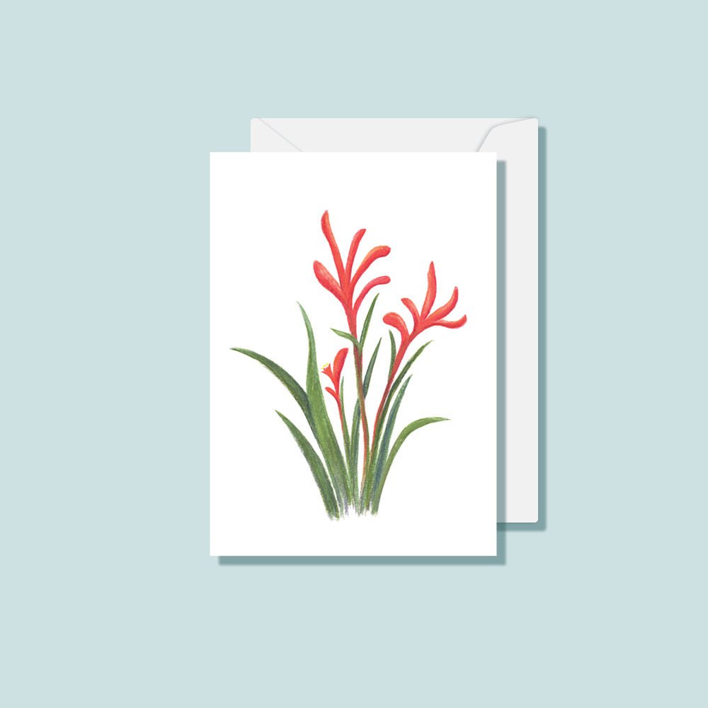 Kangaroo Paw Card - Notely