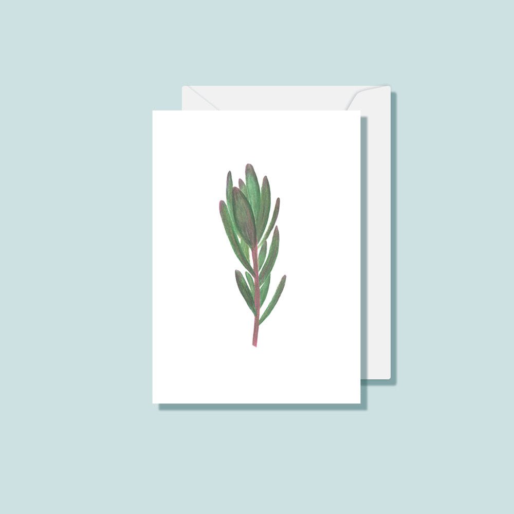 Leucadendron Botanical Card - Notely