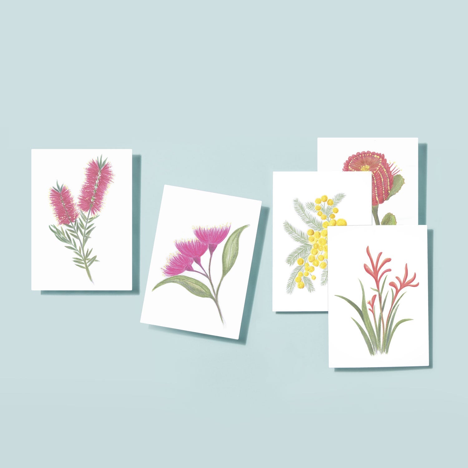 Natives Card Set (Box of 10) - Notely