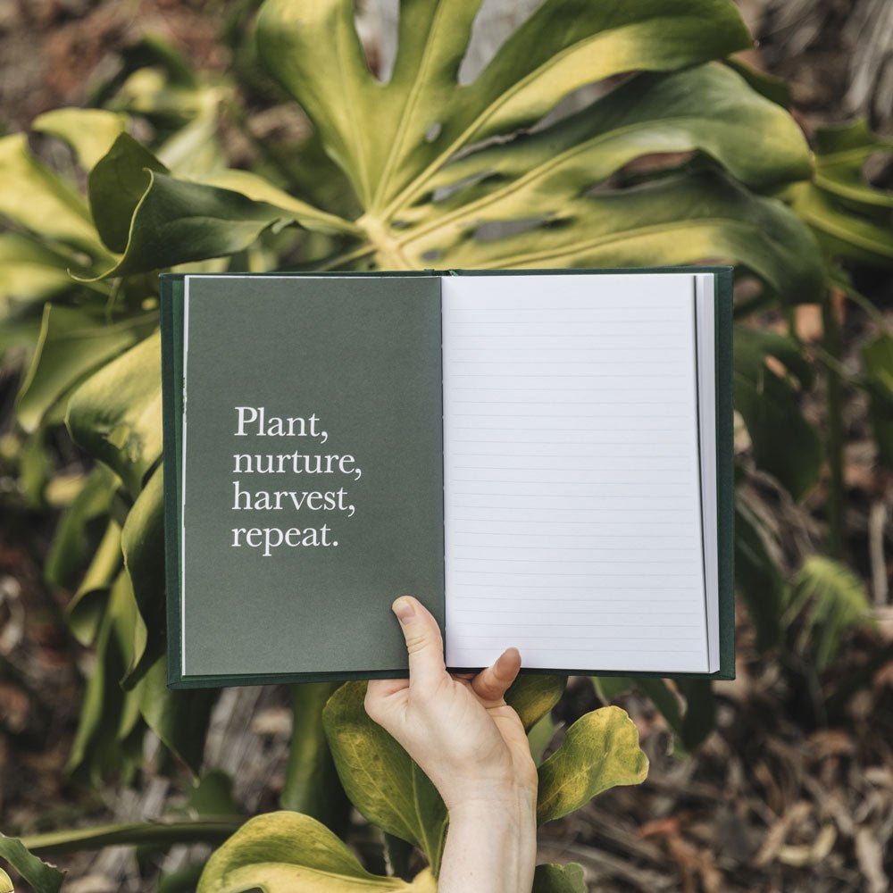 Plant Journal 160p – Soft Grey - Notely