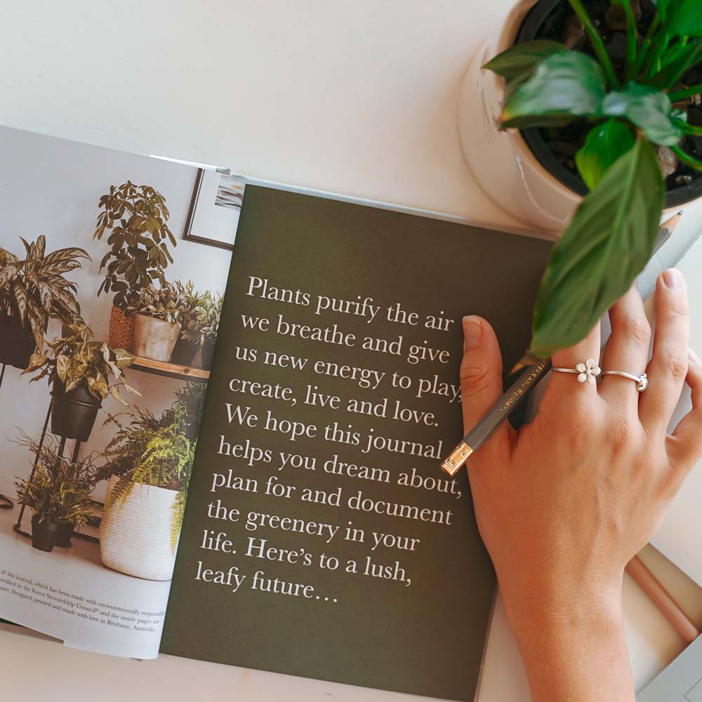 Plant Journal 160p – Soft Grey - Notely