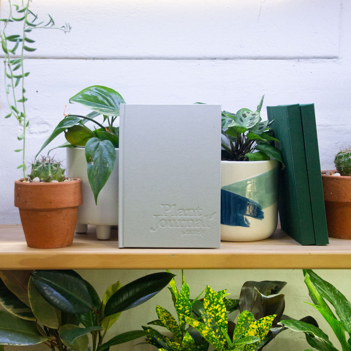 Plant Journal 160p – Soft Grey - Notely